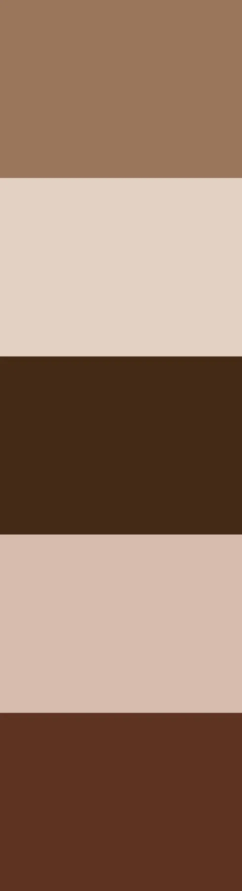 Paleta de colores — Proyecto C.A.