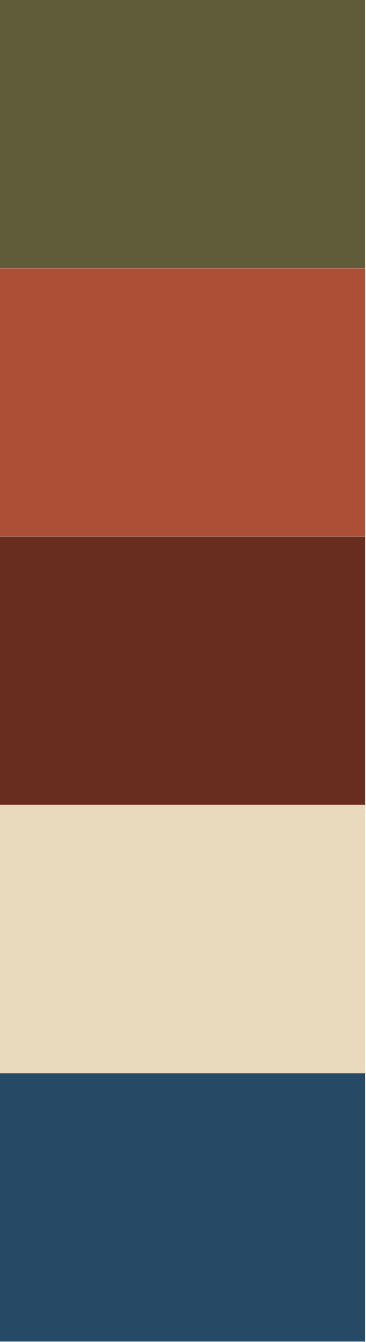 Paleta de colores — Café Tater Vera