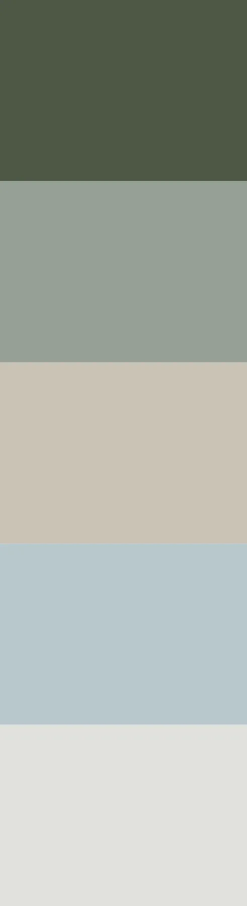 Paleta de colores — Proyecto N.M.