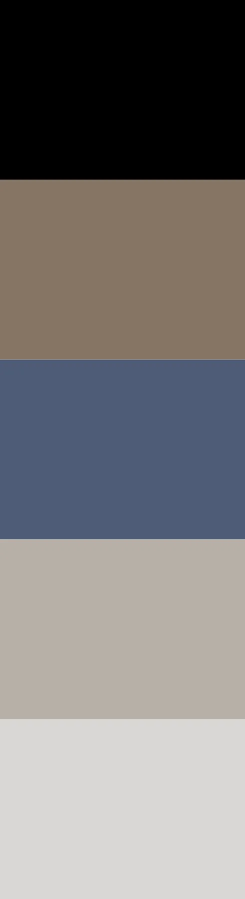 Paleta de colores — Proyecto S.M.