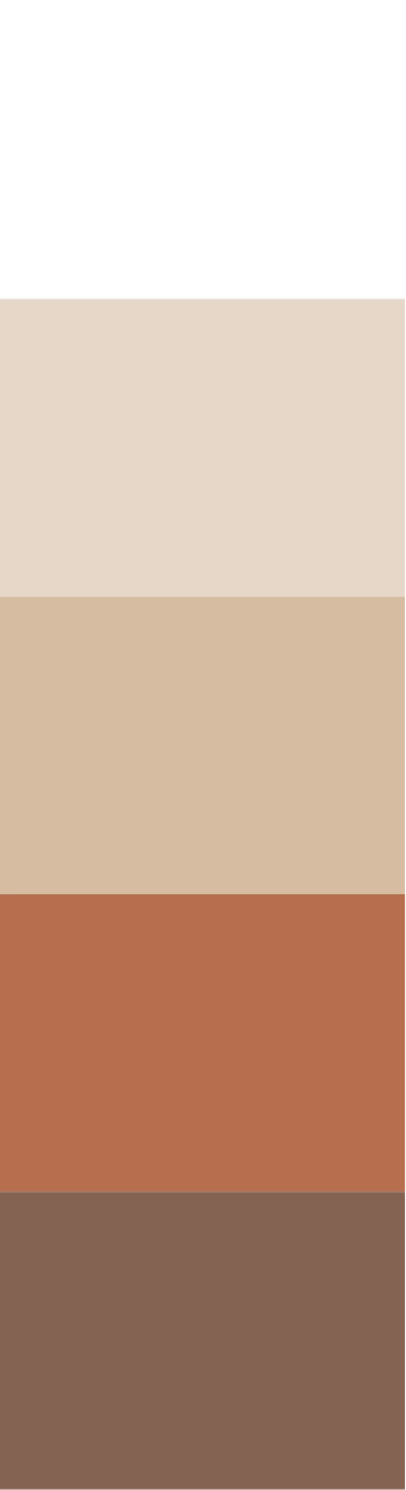 Paleta de colores — Dpto. Terra