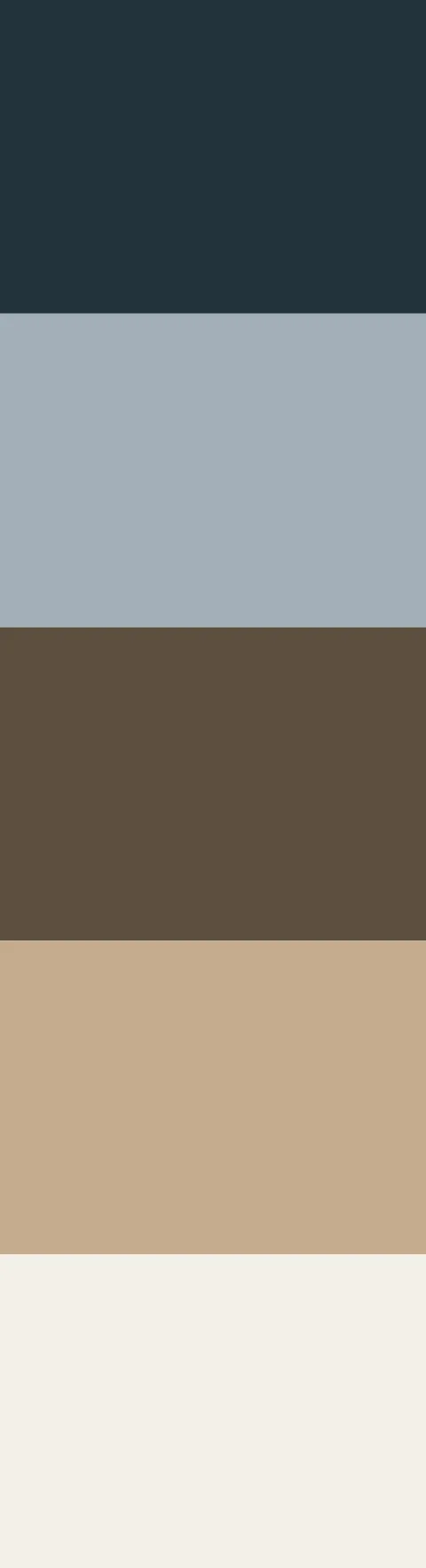 Paleta de colores — Proyecto V.M.